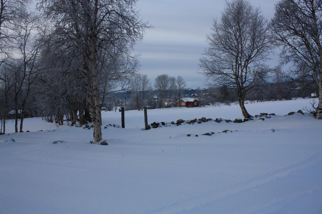 Hôtel Smasetran Gard à Røros Extérieur photo